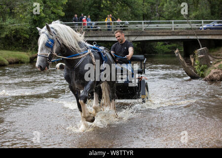 Romani Gypsy travellers meet up for an annual get together in the New Forest. Travelling Community Cart racers at Brockenhurst, Hampshire, England, UK Stock Photo