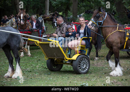 Romani Gypsy travellers meet up for an annual get together in the New Forest. Travelling Community Cart racers at Brockenhurst, Hampshire, England, UK Stock Photo