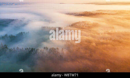 Morning fog over woodland. Summer nature landscape aerial panorama. Nature sunlight scene at foggy sunrise. Sea of fog. Belarus, Europe Stock Photo