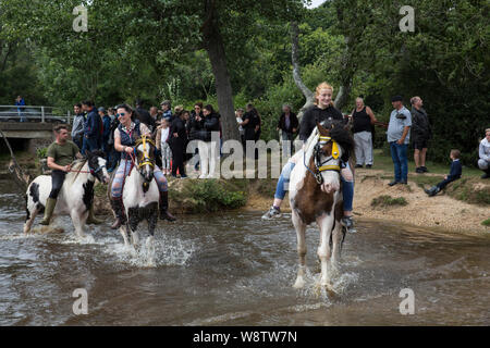 Romani Gypsy travellers meet up for an annual get together in the New Forest. Travelling Community Cart racers at Brockenhurst, Hampshire, England, UK Stock Photo