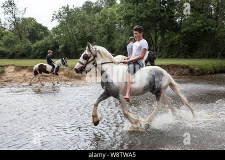 Romani Gypsy travellers meet up for an annual get together in the New Forest. Travelling Community Cart racers at Brockenhurst, Hampshire, England, UK Stock Photo