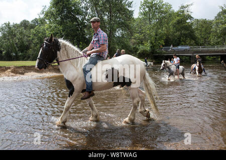 Romani Gypsy travellers meet up for an annual get together in the New Forest. Travelling Community Cart racers at Brockenhurst, Hampshire, England, UK Stock Photo