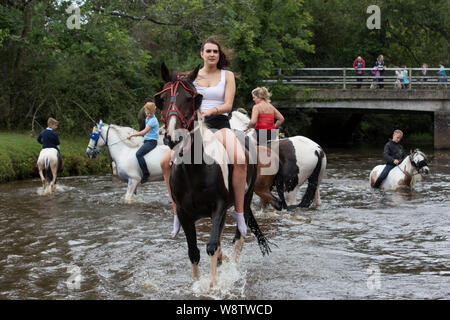 Romani Gypsy travellers meet up for an annual get together in the New Forest. Travelling Community Cart racers at Brockenhurst, Hampshire, England, UK Stock Photo