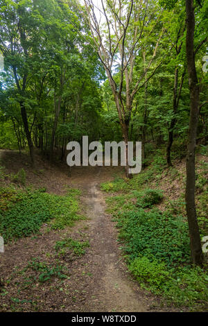Kyiv, Ukraine - August 08, 2019: Evening on the legendary Bald Mountain is a nature reserve included in the Kiev Fortress museum Stock Photo