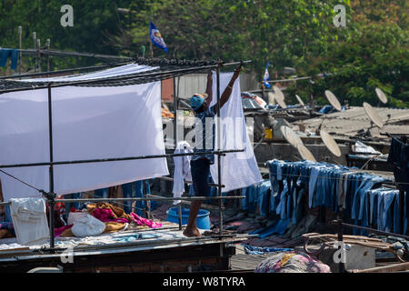 India, state of Maharashtra, capital city of Mumbai aka Bombay. Dhobi Ghat open air laundry. Stock Photo