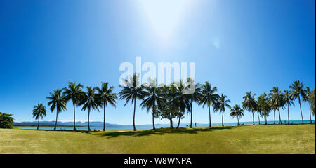 Panoramic view of Rex Smeal Park in Port Douglas, Far North Queensland, FNQ, QLD, Australia Stock Photo