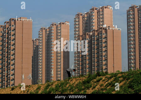 A Chinese farmer plows her field near newly-constructed high-rise residential apartment buildings in Huaian city, east Chinas Jiangsu province, 17 May Stock Photo
