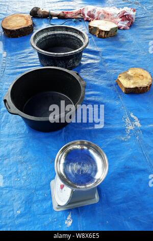 A weight scale, buckets, cutting boards and a skinned cow leg on a blue plastic pedestal. Stock Photo