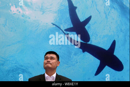 --FILE--Retired Chinese basketball star Yao Ming attends a press conference held by the conservation group WildAid for the promotion of protecting sha Stock Photo