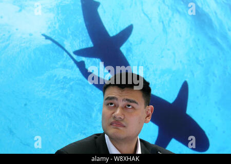 --FILE--Retired Chinese basketball star Yao Ming attends a press conference held by the conservation group WildAid for the promotion of protecting sha Stock Photo