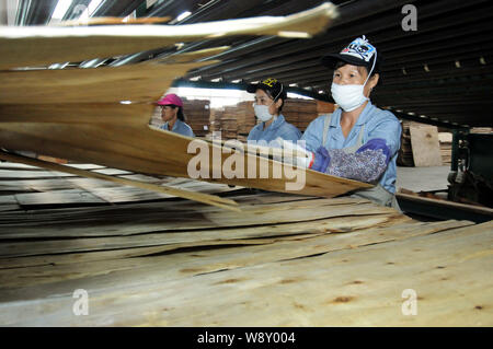 --FILE--Female Chinese workers produce plywood at a furniture factory in Shangsi county, south Chinas Guangxi Zhuang Autonomous Region, 28 August 2014 Stock Photo