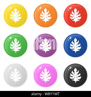 Monstera leaf icons set 9 colors isolated on white. Collection of glossy round colorful buttons. Vector illustration for any design. Stock Vector