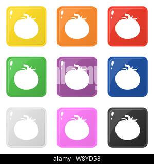 Tomato icons set 9 colors isolated on white. Collection of glossy square colorful buttons. Vector illustration for any design. Stock Vector