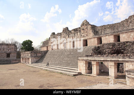 Ruins of royal complex near to ancient Mayan pyramid of the Magician in Uxmal, Yucatan, Mexico. UNESCO world heritage site Stock Photo