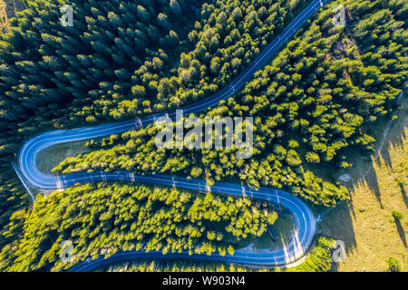 Aerial view of green pine forest and a country serpentine road captured from a drone above Stock Photo