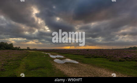 Broken clouds moving quickly over the landscape on a windy day after a storm on a summer evening in The New Forest, Hampshire, England, UK Stock Photo