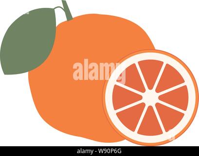 Grapefruit. A whole grapefruit and a cut. Vector stock illustration. - Vector illustration Stock Vector
