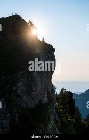 Fels wand mit Steinbock und Sonnenstern in den Schweizer Alpen Stock Photo