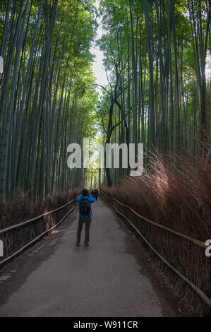 Tourists take pictures in the Sagano Bamboo Forest, Japan, with beautiful early morning sunlight filtering through the trees Stock Photo