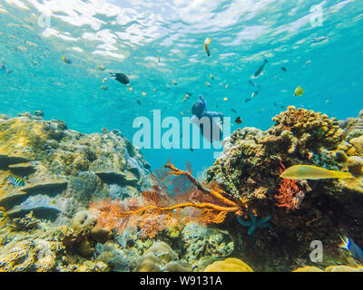 Happy man in snorkeling mask dive underwater with tropical fishes in coral reef sea pool. Travel lifestyle, water sport outdoor adventure, swimming Stock Photo