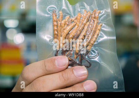 --FILE--A seller shows parasitic fungus, Cordyceps sinensis, at a TCM (traditional Chinese medicine) wholesale market in Shenzhen city, south Chinas g Stock Photo