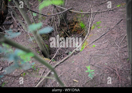 A pit in the tomb of a Chinese fighter plane pilot killed in the World War II is pictured at a cemetery in Kunming city, southwest Chinas Yunnan provi Stock Photo