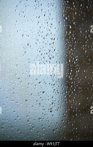 Raindrops on a mosquito net. Mosquito net on a window with a curtain. Vertical background. Stock Photo