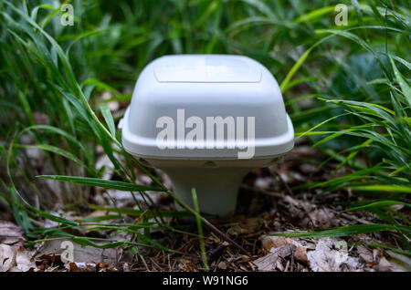 Wittmar, Germany. 08th Aug, 2019. A seismographic sensor used to measure the soil structure around the Asse 2 repository is stuck in the soil. Around 6500 explosive charges are to be distributed in the forest. 45,000 seismographic sensors will then be distributed on the site to record the vibrations of the explosions. Credit: Christophe Gateau/dpa/Alamy Live News Stock Photo