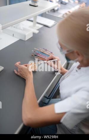 Dentist cleaning artificial teeth with different brushes. Stock Photo