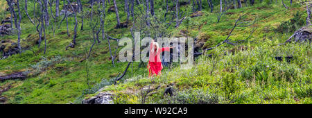 Flam, Sogn og Fordjane, Norway- July 27, 2019: Huldra dances at Kjosfossen waterfall along Flamsbana railroad in Aurland in Western Norway Stock Photo
