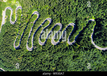 Aerial top view of a winding road in green forest by drone Stock Photo
