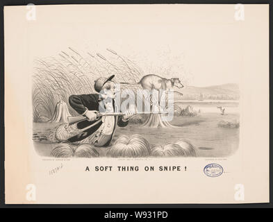A  soft thing on snipe! Stock Photo