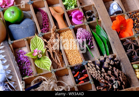 wooden tray with garden related items Stock Photo
