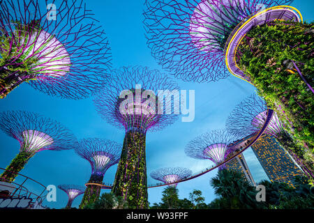 Singapore, Singapore - June 7, 2019: upertree of Gardens by the Bay in singapore at night