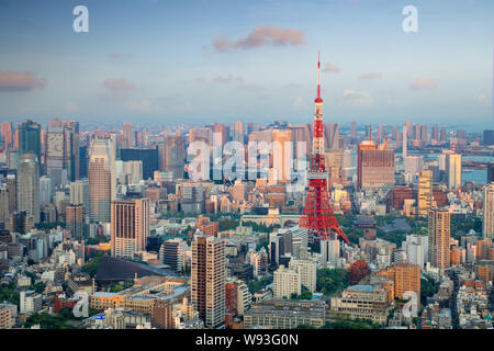 Tokyo city skyline with Tokyo Tower, Tokyo Japan Stock Photo