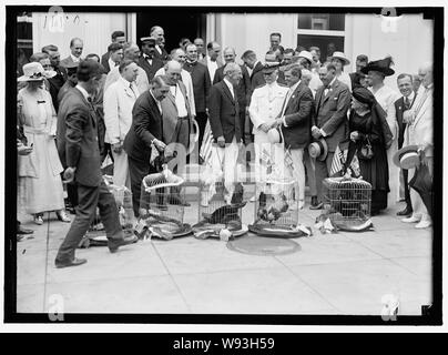 ALABAMANS. ROOSTERS BEING PRESENTED TO ALABAMA CITIZENS AT WHITE HOUSE. ADMIRAL BENSON RIGHT OF WILSON CHAMP CLARK AT EXTREME RIGHT Stock Photo