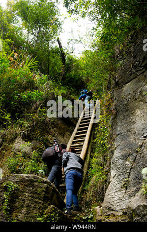 View of people climbing two vertical wooden ladders in deep mountains in Sangzhi County, central Chinas Hunan province, 11 April 2013.   Going to scho Stock Photo