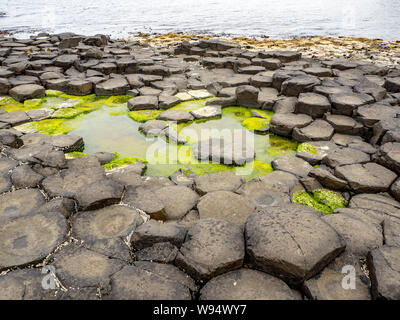 Giant’s Causeway, famous tourist attraction of Northern Ireland, UK. Unique hexagonal and pentagonal geological formations of volcanic basalt rocks. Stock Photo