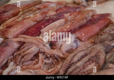 Close up of fresh raw squid sold on the traditional street market in Palermo, Sicily Stock Photo