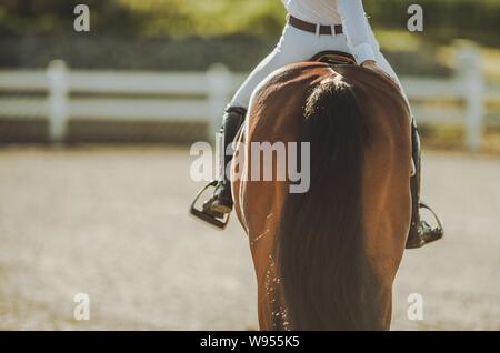 Professional Horse Riding. Caucasian Woman in the Equestrian Facility. Stock Photo