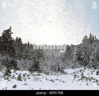 Snow covered trees near old ski lift end, sun shines through hazy clouds in sky over them Stock Photo