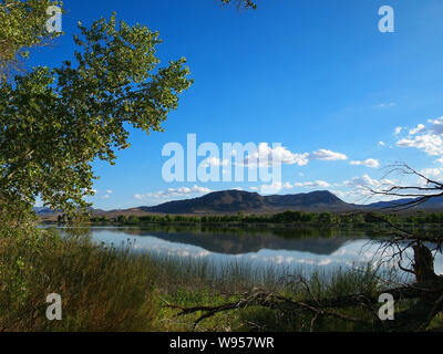 A lake oasis in the Mojave desert north of Las Vegas, Nevada reflects the mountains, trees, clouds, and bright blue sky on a clear summer day. Stock Photo