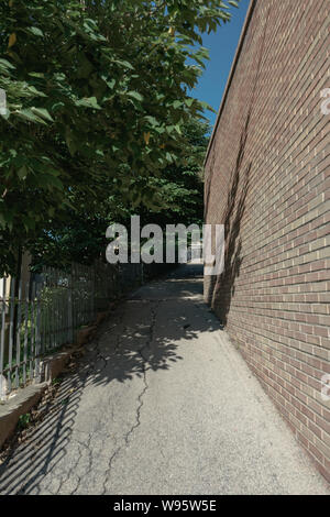 Beautiful walkway up,  brick wall and tree. Stock Photo