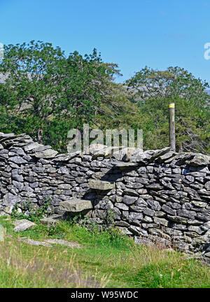 Step-stile in dry-stone wall. Norber. Austwick, Yorkshire Dales National Park, Craven, North Yorkshire, England, United Kingdom, Europe. Stock Photo