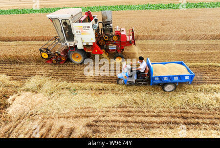 FILE--Chinese farmers drive a reaping machine and a motor tricycle 