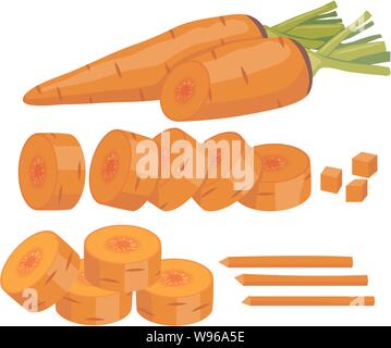 vector set of whole carrot and chopped carrot slices isolated on white background. fresh carrot vegetable for healthy diet Stock Vector