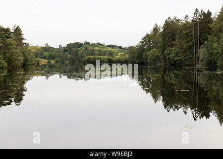 Evening at Tarn Hows in the Lake district Stock Photo