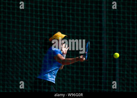 Chinese tennis player Zheng Jie returns a shot during a training session for Fed Cup in Shenzhen, south Chinas Guangdong province, 31 January 2012. Stock Photo