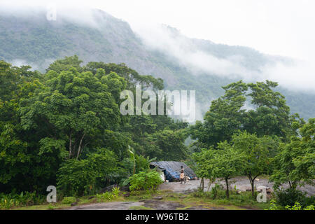 Montane evergreen rainforest and lowland moist deciduous forest in mist during the monsoon season, Ernakulam district, Western Ghats, Kerala, India Stock Photo