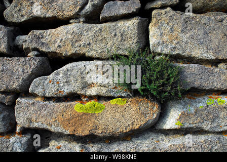 View of the relic of the Great Wall of Qin Dynasty in Guyang county, Baotou city, north Chinas Inner Mongolia Autonomous Region, 7 September 2008. Stock Photo